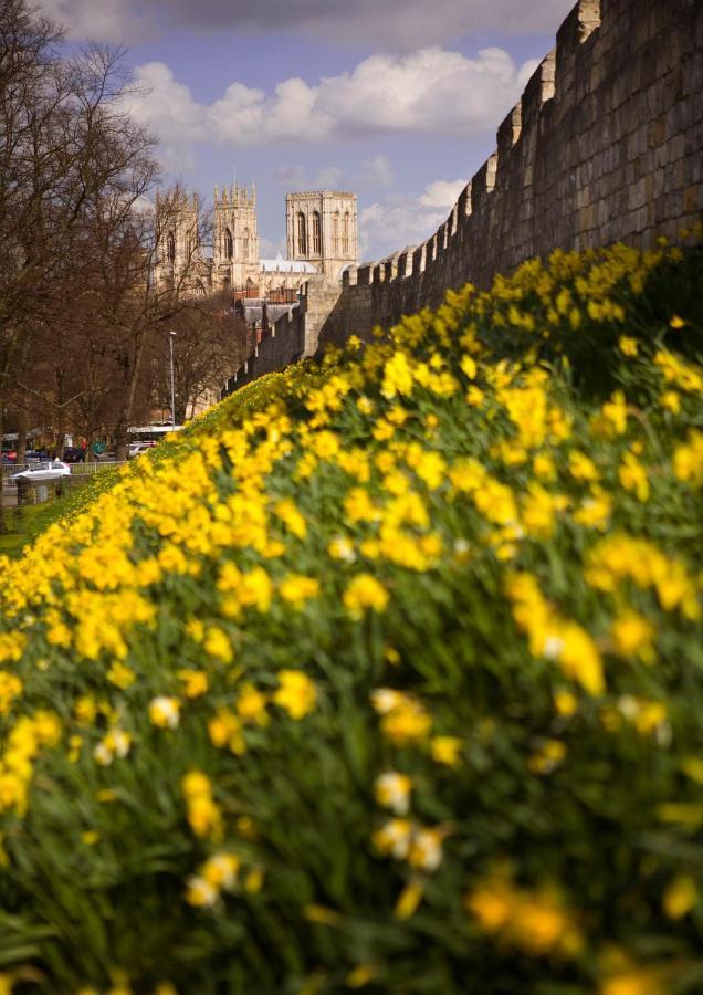 Shambles Suites In The Centre Of York, Sleeps 16 Екстериор снимка